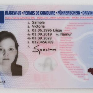 Belgian Driver’s License