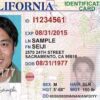 California Id Card