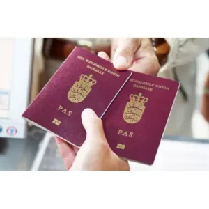 Danish Passport Online