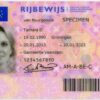 Dutch Driver’s License