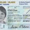 Irish Passport Card