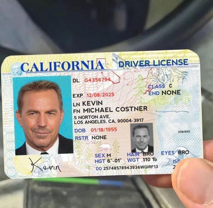 How to Renew Your California ID Card Tips and Requirements