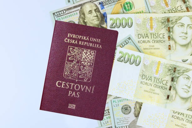 What You'll Need to Renew Your Czech Passport from Home