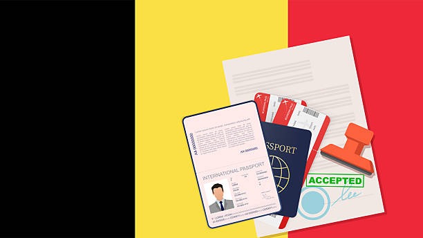 Lost Your Belgian ID Card? Here’s Exactly What to Do Next
