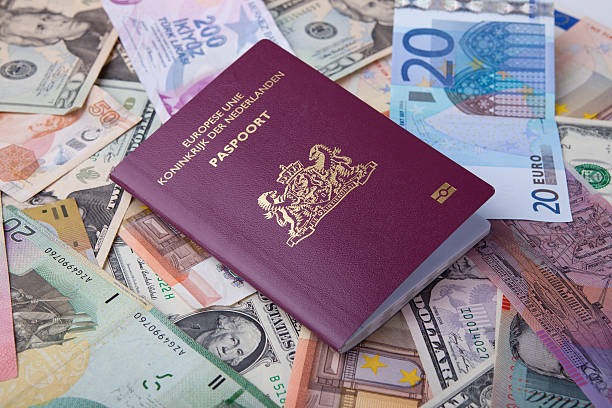 How to Apply for a Dutch Passport Easily